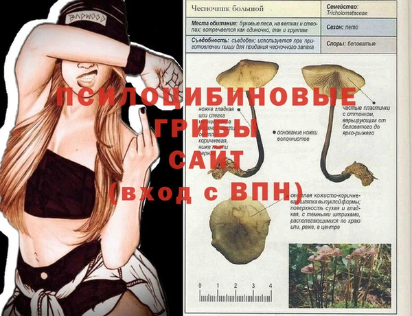 хмурый Нефтекумск