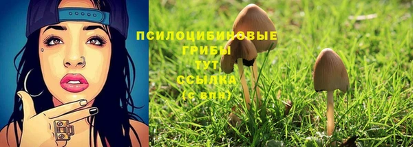 хмурый Нефтекумск