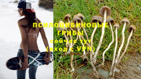 хмурый Нефтекумск
