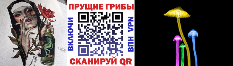 Галлюциногенные грибы ЛСД  сколько стоит  Псков 