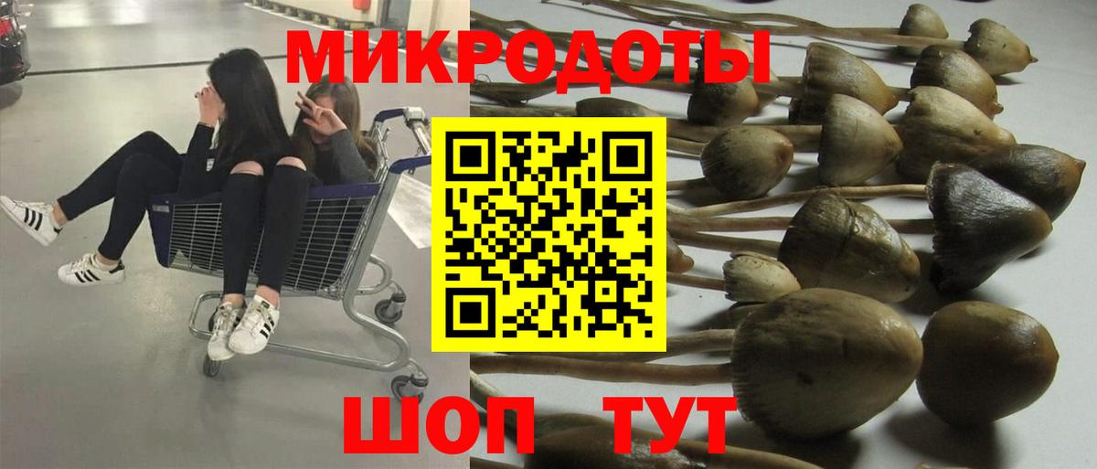 Псков  Псилоцибиновые грибы Psilocybine cubensis  Вход с VPN 
